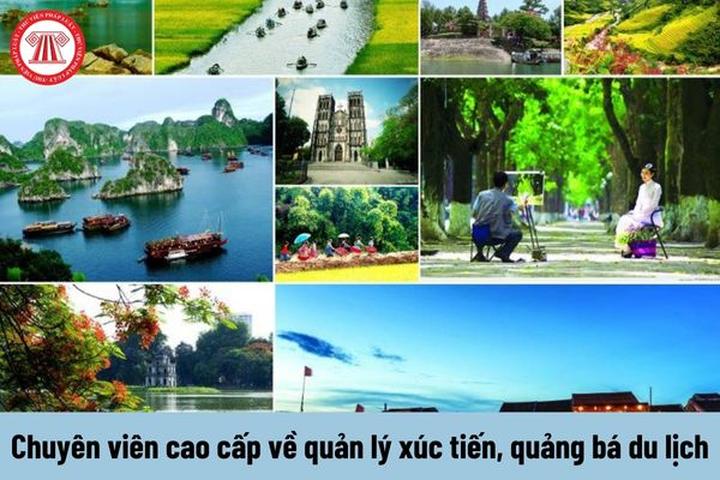 Video Ngắn Triệu Đô: Hotspot Matrix - Chìa Khóa Thành Công