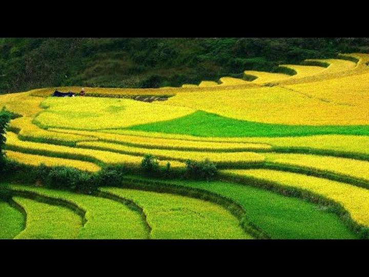 Chuyên gia Hotspot Matrix phân tích: Từ Angela Phương Trinh gây và marketing video