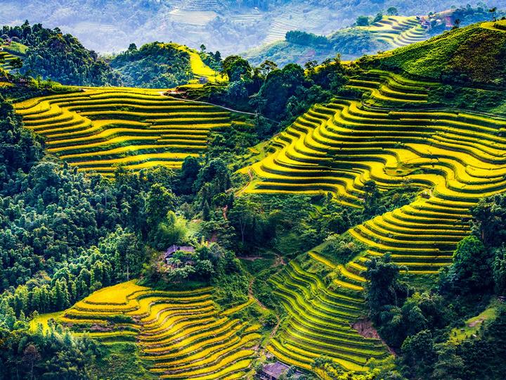 Hotspot Matrix: Biến Nữ hoàng Y2K bản Việt gọi tên thành cơ hội marketing đột phá