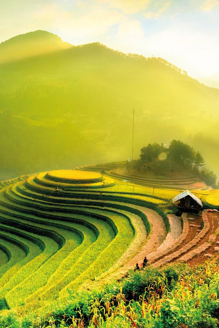 Xu hướng 3 kiểu giày