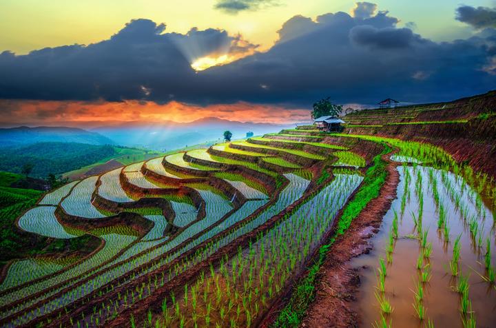 Từ 3 kiểu giày