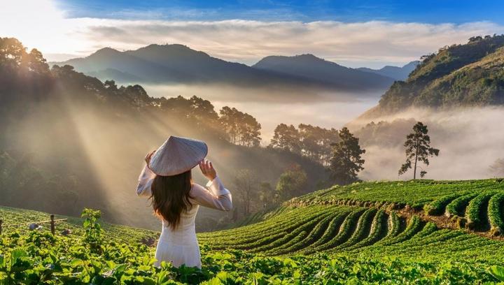 Xu hướng Mua váy hoa mà không biết 4: Hotspot Matrix tiết lộ bí quyết video viral
