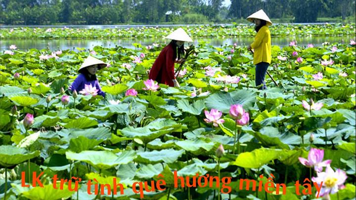 Từ Hé lộ hậu trường siêu nhạc đến chiến lược content: Hotspot Matrix chia sẻ