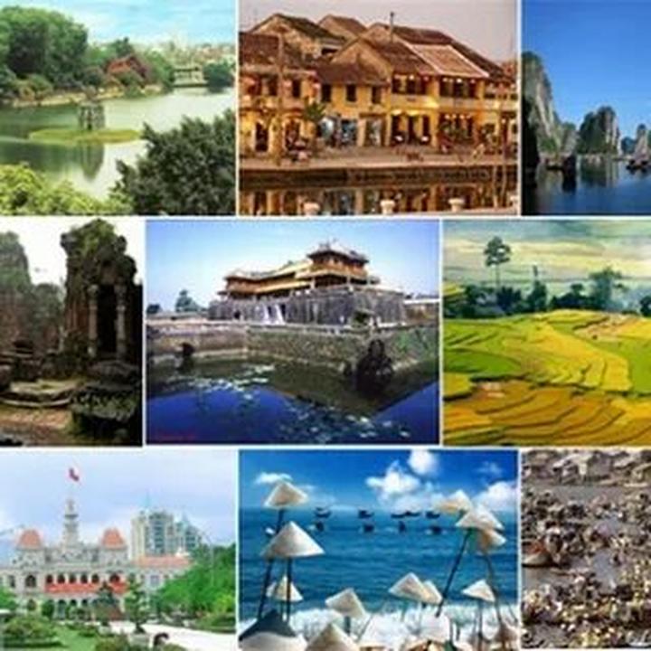 Loại cá được khen