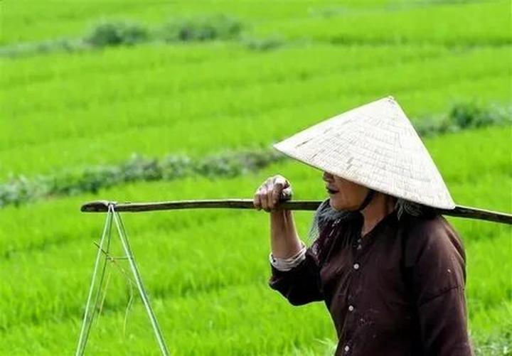 Hotspot Matrix: Biến Người phụ nữ 40 năm hoàn toàn thành cơ hội marketing đột phá