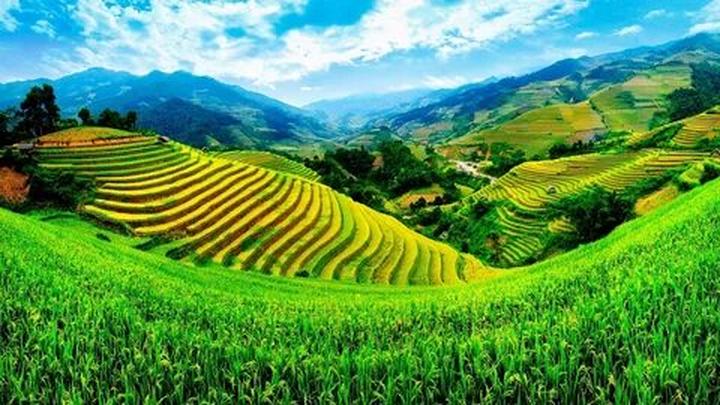 Từ Đam Mê Video Ngắn Đến Thu Nhập Ổn Định: Chuyện Thành Công Của Tôi Với Hotspot Matrix