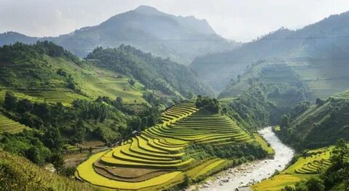 Huang Yoyo: Shop này dựa trên thiết kế basic, nhưng lại trẻ trung và phong cách.